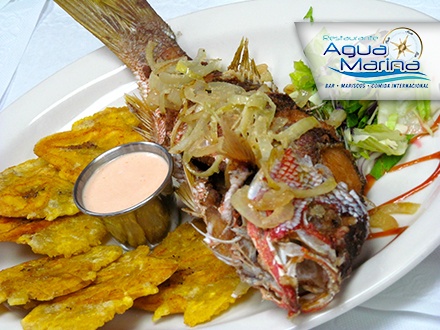 $23 por 2 Platos principales, a escoger entre Pescado entero fresco (Mero o Colirubia) con 1 acompañante, Churrasco relleno de mofongo de yuca con 1 acompañante, o Pechuga rellena de chorizo y queso crema con 1 acompañante + 2 Sangrías de parcha + 1 Flan de Amaretto, vainilla o queso para compartir
